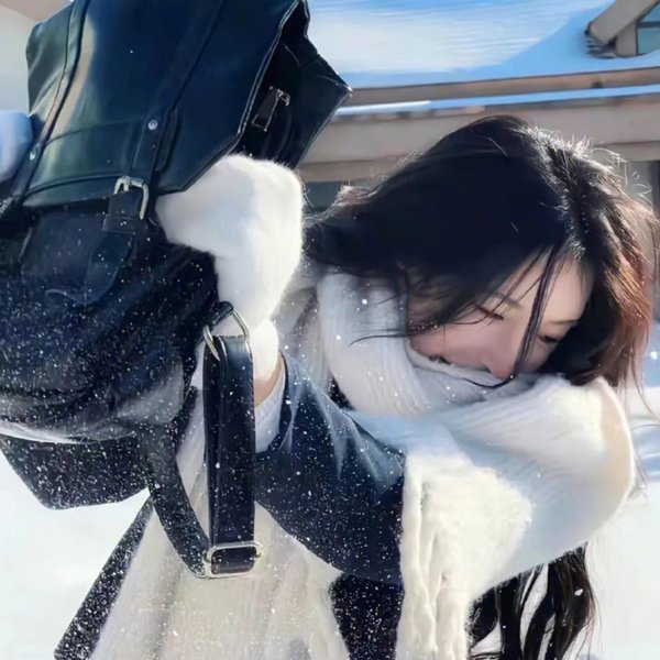 十全主妇