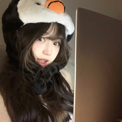 哈兰·科本的庇护所